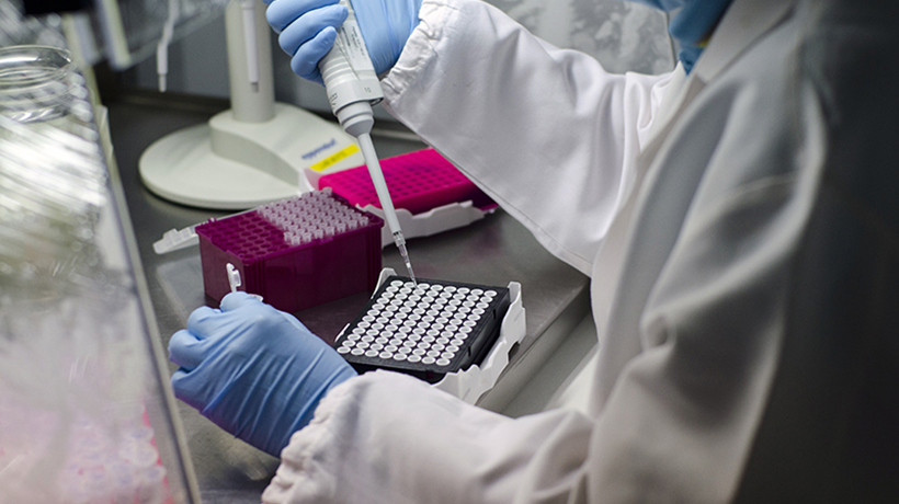 Hands in gloves handling samples in a laboratory.