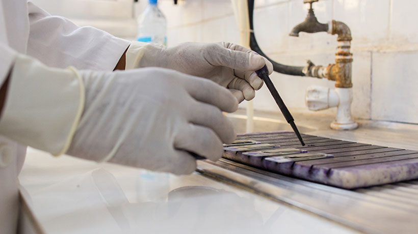 Gloved hands handling samples in a laboratory.